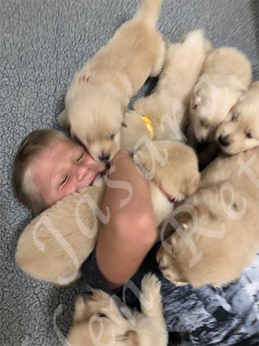 cute puppy picture