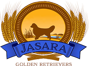 jasara golden retriever logo