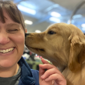 Jasara Golden Retrievers Flirt