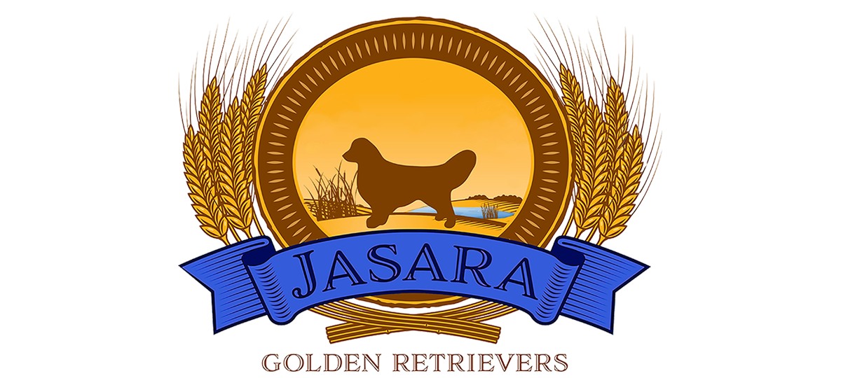 jasara goldens in nebraska