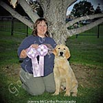 Jasara Golden Retrievers Ben