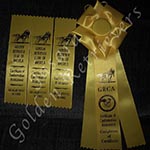 Jasara Golden Retrievers Lincoln