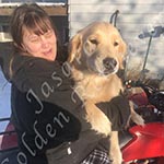 Jasara Golden Retrievers marilyn