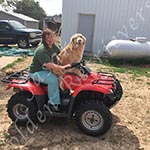 Jasara Golden Retrievers marilyn