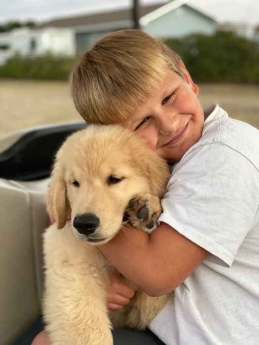 Jasara Golden Retrievers Jasara The Shape Of Destiny BCAT, viking and boy